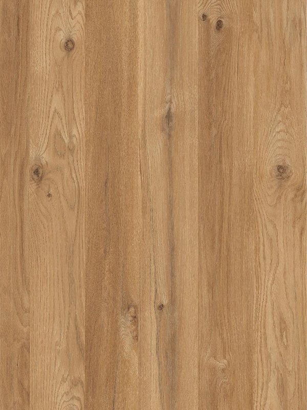 Roble Garbo - Imagen 2