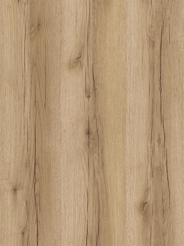 Roble Harlem - Imagen 2