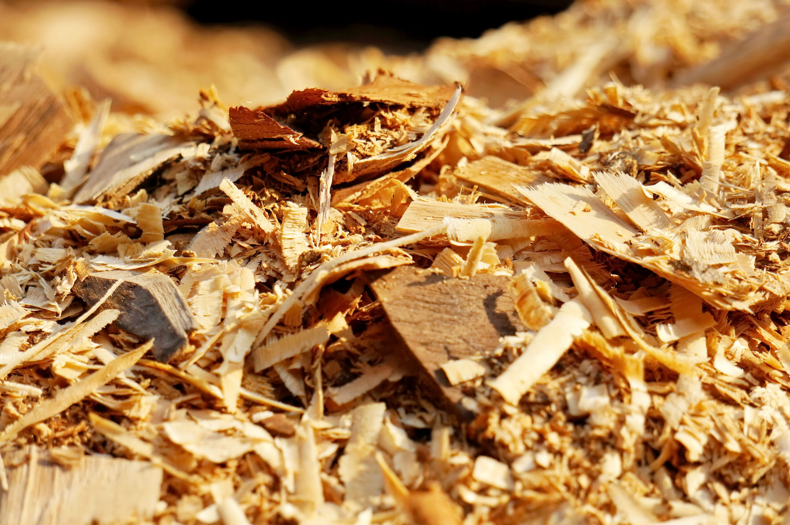 Economía Circular en Losán: ¿Qué ocurre con el residuo de madera?